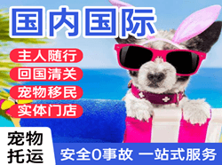 上海浦东航空空运国际宠物托运 【国
